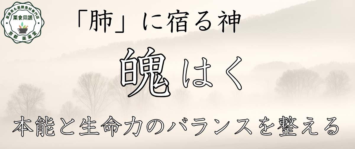 魄タイプ バナー画像